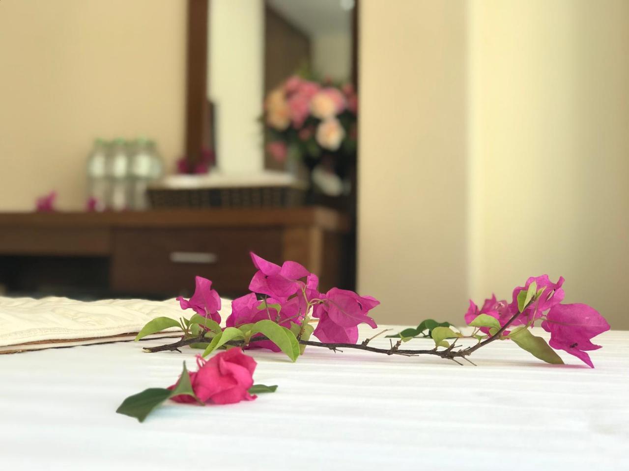Ha Vy Hotel Cat Ba Island Bagian luar foto