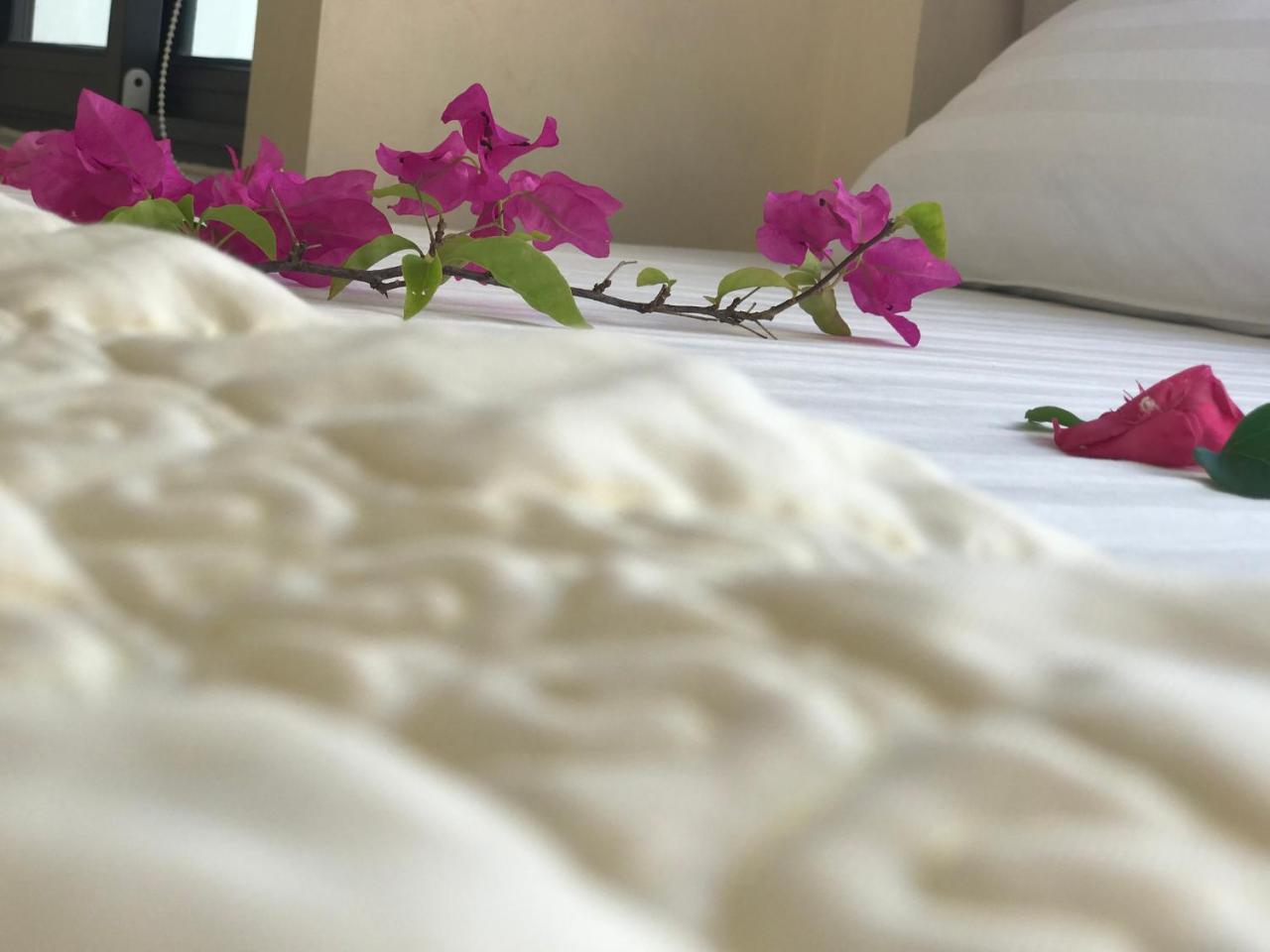 Ha Vy Hotel Cat Ba Island Bagian luar foto