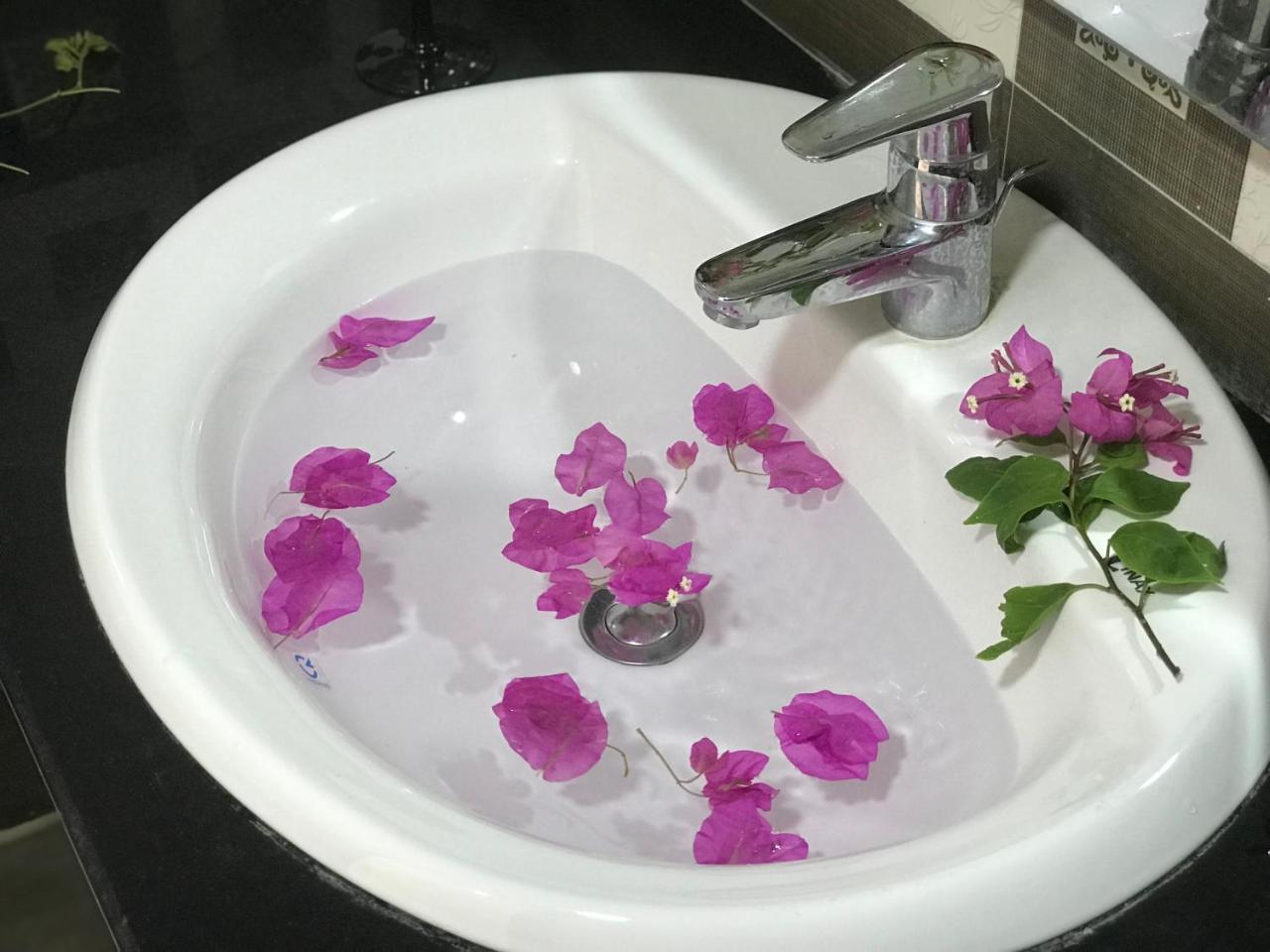 Ha Vy Hotel Cat Ba Island Bagian luar foto